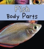 Cover von Fish Body Parts