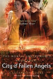 Cover von City of Fallen Angels