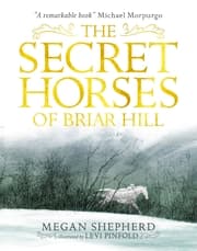 Cover von The Secret Horses of Briar Hill