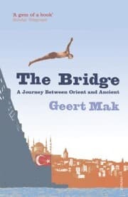 Cover von The Bridge
