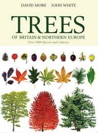 Cover von Illustrated Trees of Britain & Europe
