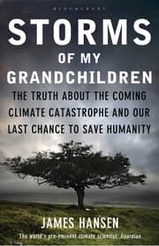 Cover von Storms of My Grandchildren