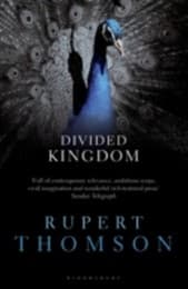 Cover von Divided Kingdom