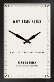 Cover von Why Time Flies