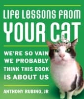Cover von Life Lessons From Your Cat