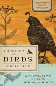 Cover von Consider the Birds