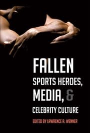 Cover von Fallen Sports Heroes, Media,& Celebrity Culture