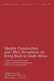 Cover von Identity Construction and (Mis) Perceptions on Being Black in South Africa