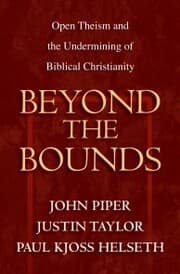 Cover von Beyond the Bounds