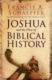 Cover von Joshua and the Flow of Biblical History