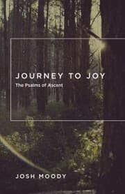 Cover von Journey to Joy