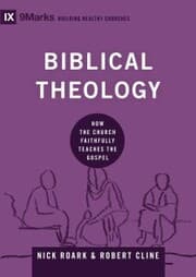 Cover von Biblical Theology
