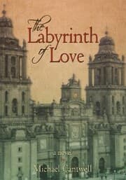 Cover von The Labyrinth of Love