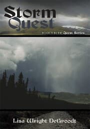 Cover von Storm Quest