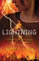 Cover von Lightning (Stone Braide Chronicles Book 2)