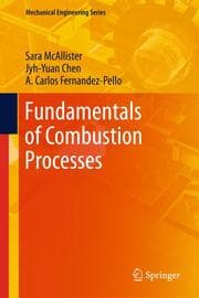 Cover von Fundamentals of Combustion Processes
