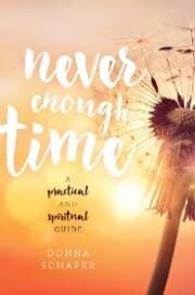 Cover von Never Enough Time