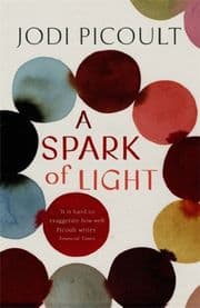 Cover von A Spark of Light