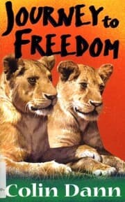 Cover von Journey To Freedom