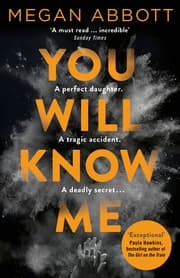 Cover von You Will Know Me