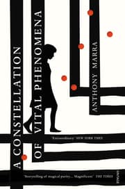 Cover von A Constellation of Vital Phenomena