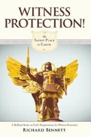 Cover von Witness Protection!