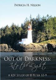 Cover von Out of Darkness: into the Light