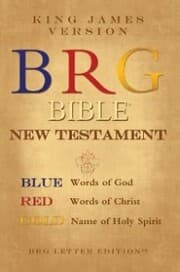 Cover von Brg Bible ® New Testament, King James Version