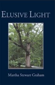 Cover von Elusive Light