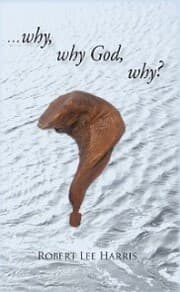 Cover von Why Why God Why?