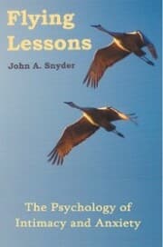 Cover von Flying Lessons