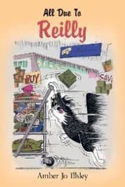 Cover von All Due to Reilly