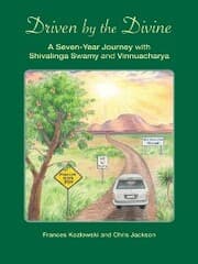 Cover von Driven by the Divine