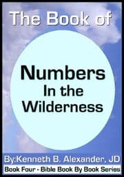 Cover von The Book of Numbers - In the Wilderness