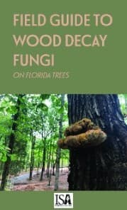 Cover von Field Guide to Wood Decay Fungi on Florida Trees