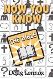 Cover von Now You Know The Bible