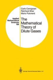 Cover von The Mathematical Theory of Dilute Gases