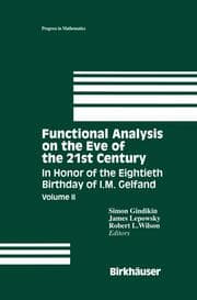 Cover von Functional Analysis on the Eve of the 21st Century