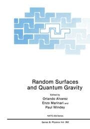 Cover von Random Surfaces and Quantum Gravity