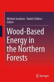 Cover von Wood-Based Energy in the Northern Forests