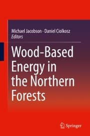 Cover von Wood-Based Energy in the Northern Forests