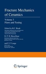 Cover von Flaws and Testing
