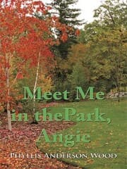 Cover von Meet Me in the Park, Angie
