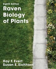 Cover von Raven Biology of Plants