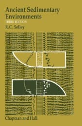 Cover von Ancient Sedimentary Environments and their sub-surface diagnosis