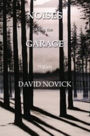 Cover von Noises from the Garage