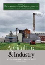 Cover von New Encyclopedia of Southern Culture