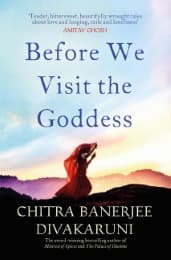 Cover von Before We Visit the Goddess