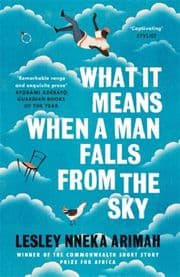 Cover von What It Means When a Man Falls From the Sky