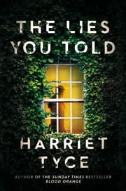 Cover von The Lies You Told
